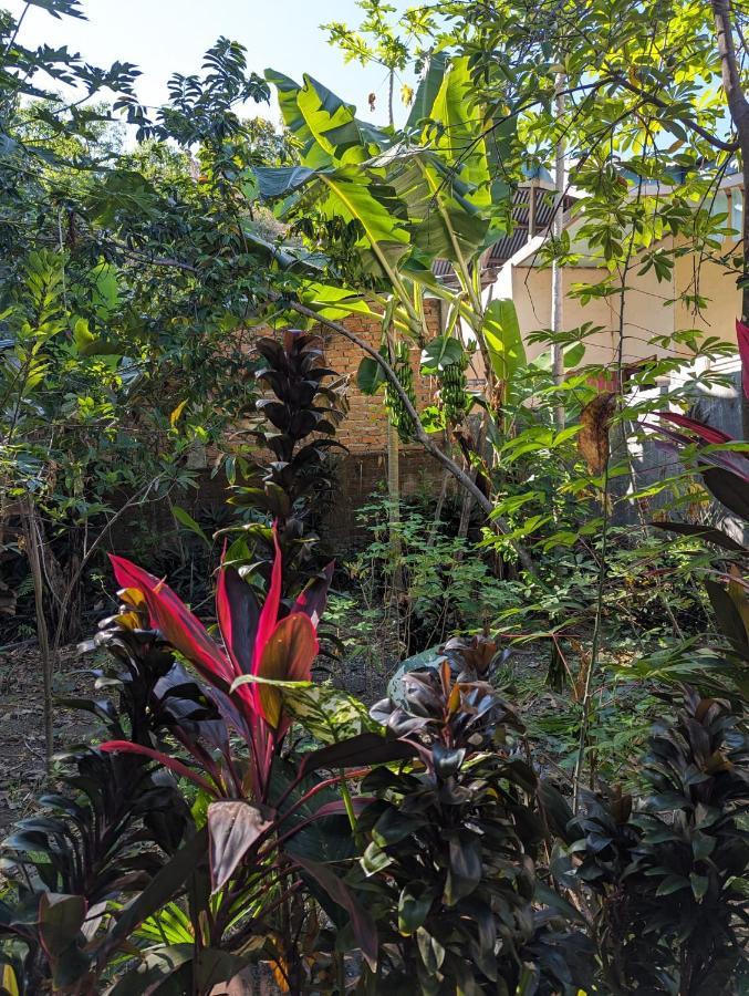 Agusfamily Homestay لابوان باجو المظهر الخارجي الصورة